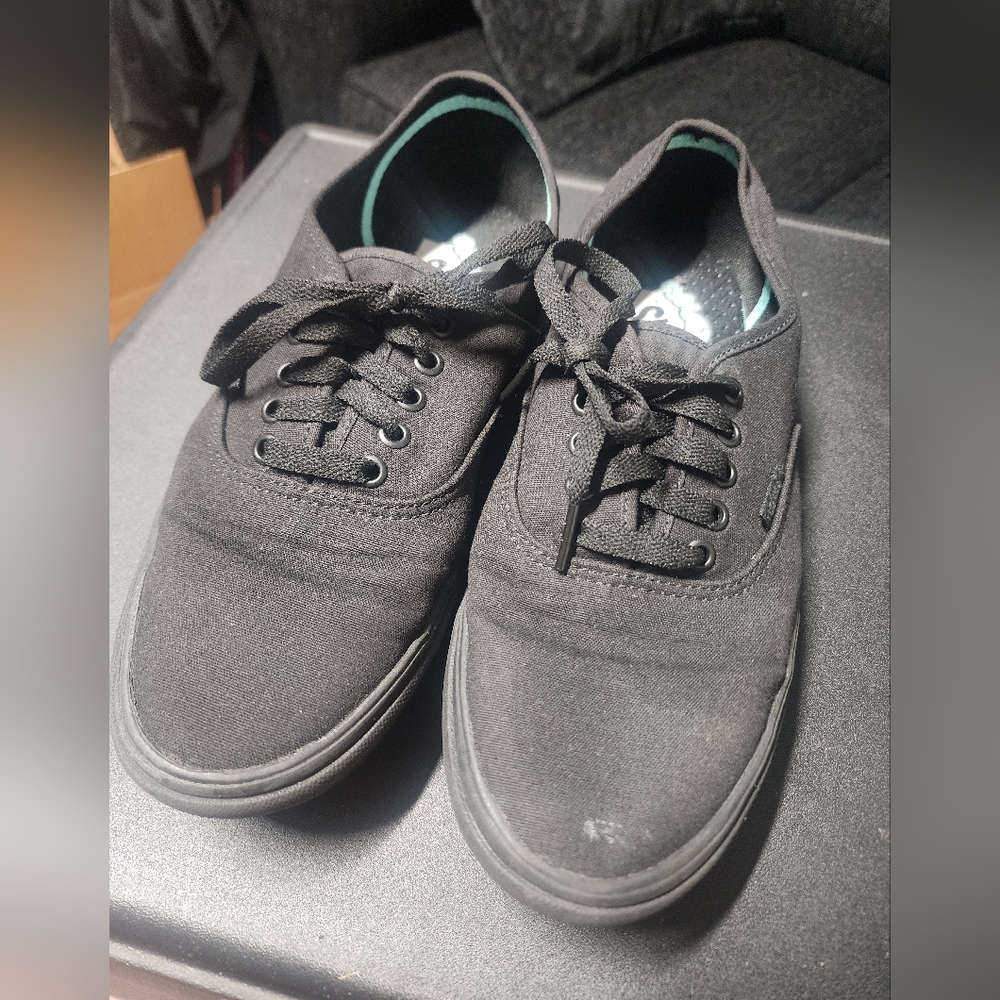 Van's skate shoes